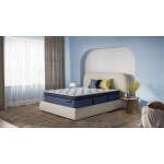 Ellawood Plush Pillow Top