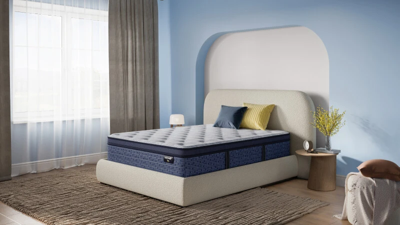 6a9ba0f1d923d1fb585d1cfed18be506 Ellawood Plush Pillow Top - Image 1
