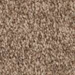 Tonal Chic I