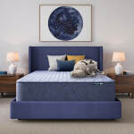 Serta Perfect Day 14" Firm Mattress in a Box -Full