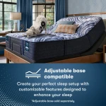 Serta Perfect Sleeper Pro Mattress - Level Two Medium - Medium / King - Image 11
