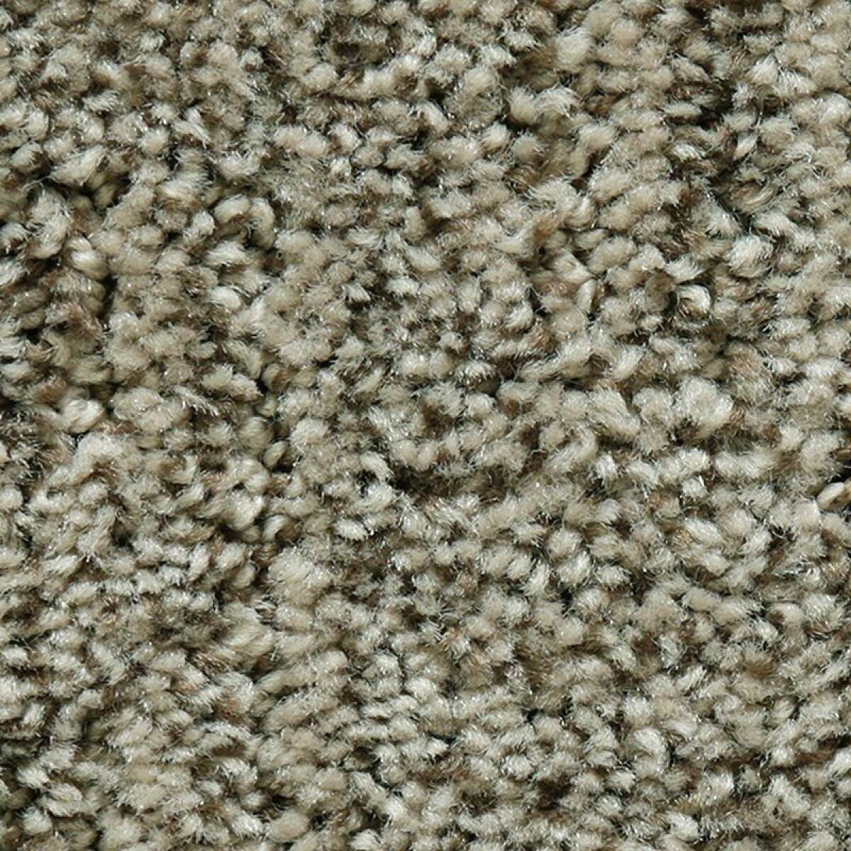 73ad0ccb5d6a0bc4d297729cfc98e21b Random Nature - Image 1