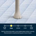 Serta Five Star Mattress - 14" Firm - Queen - Image 4