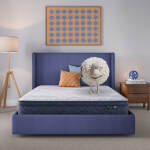 Serta Perfect Day 10" Plush Pillow Top Mattress in a Box -Twin XL