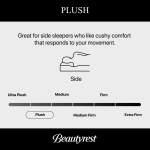 Carton Beautyrest Black Series Two 15.25" Plush Mattress -Twin XL - Image 7