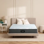 Beautyrest Pressuresmart - Standard Firm / Queen