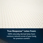 iComfortPro Buckingham 16" Latex Foam Plush Pillow Top Mattress Low Profile Set -Twin XL - Image 6