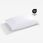 iProtect Pillow Protector - Jumbo/Queen