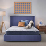 Serta Perfect Day 10" Medium Mattress in a Box -Queen