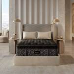 Beautyrest Black - Series Four Plush Pillow Top / Full