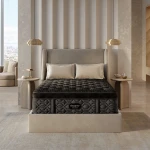 Beautyrest Black - Series Four Plush Pillow Top / Full