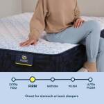 Serta Classic Mattress - Queen - Image 6