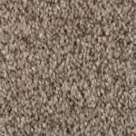 Tonal Chic I