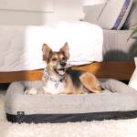 Performance® Dog Bed - Small - Image 4