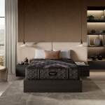 Carton Beautyrest Black Series Two 15.25" Plush Mattress -Twin XL