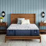 Perfect Sleeper Pro Hampton 12.5" Latex Hybrid Extra Firm Mattress Low Profile Set -Twin XL