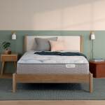 Dream Weaver 13.75" Plush Mattress -Twin