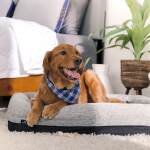 Performance® Dog Bed - Small - Image 3