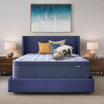 Serta Perfect Day 16" Plush Pillow Top Mattress in a Box -Twin