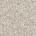 Tonal Chic I