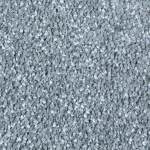 Exquisite Shades