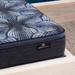Perfect Sleeper Sleep Excellence - Medium Pillow Top / Twin XL - Image 4