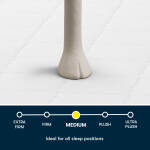 Serta Perfect Day 8" Medium Mattress in a Box -Twin XL - Image 5