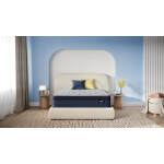 Ellawood Plush Pillow Top - Image 6