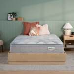 Dream Weaver 14.25" Ultra Plush Pillow Top Mattress -Twin XL