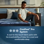 Perfect Sleeper Pro Geneva 13.5" Latex Hybrid Firm Mattress Low Profile Set -California King - Image 8