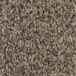 Tonal Chic II