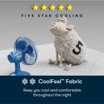 Serta Five Star Mattress - 14" Plush - Cal King - Image 6