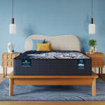 Perfect Sleeper X Max 14.25" Hybrid Medium Mattress Low Profile Set -Full