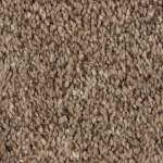 Tonal Chic I