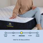 Serta Classic Mattress - Twin XL - Image 6