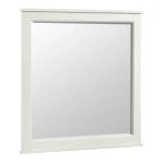 Tahoe Youth Mirror | Sea Shell