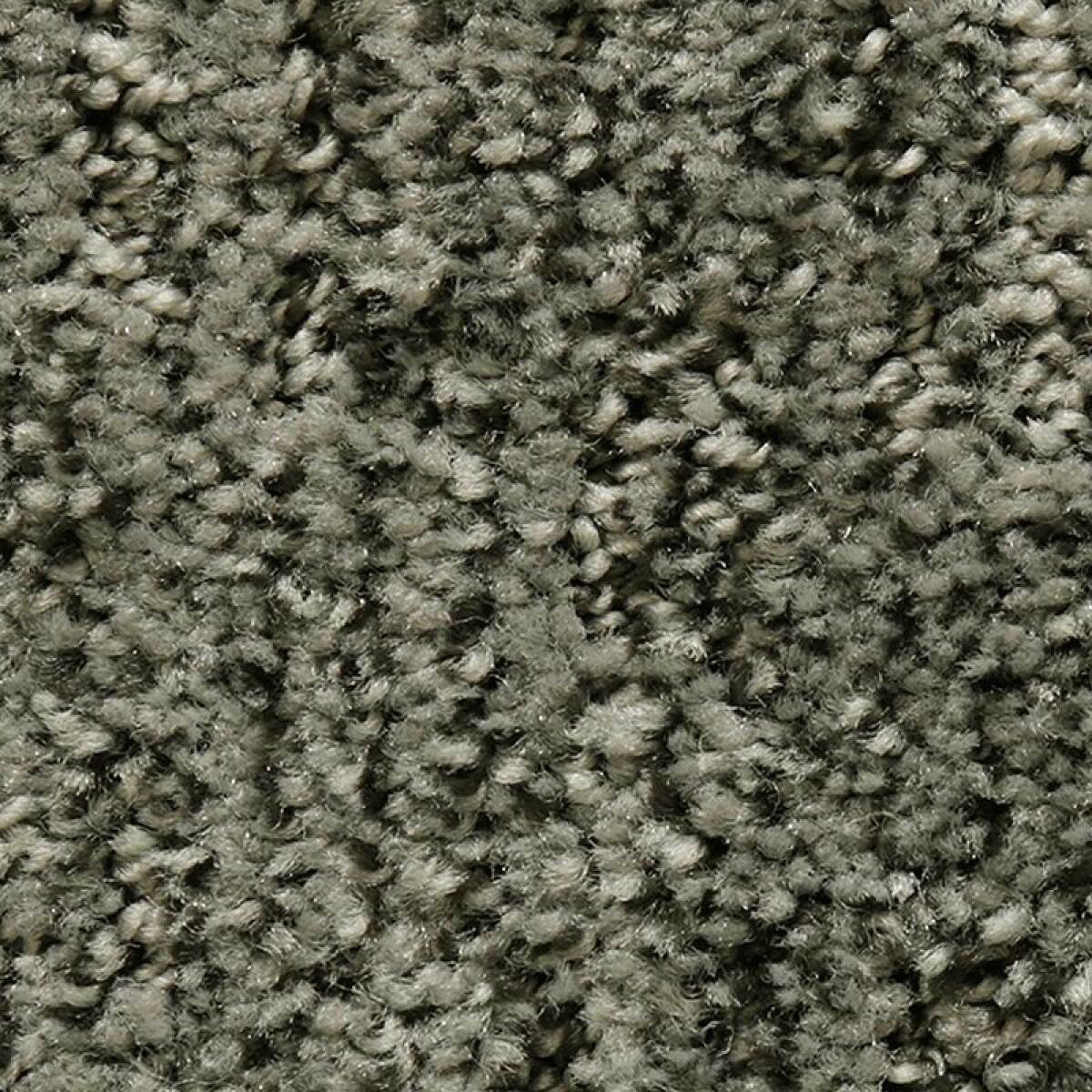 ee0d52216572566b7776ebf992778d61 Random Nature - Image 1