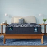Perfect Sleeper X Excelled 13.75" Hybrid Extra Firm Mattress Set -California King