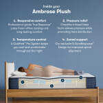 iComfortPro Ambrose 13" Latex Foam Plush Mattress Set -Queen - Image 3