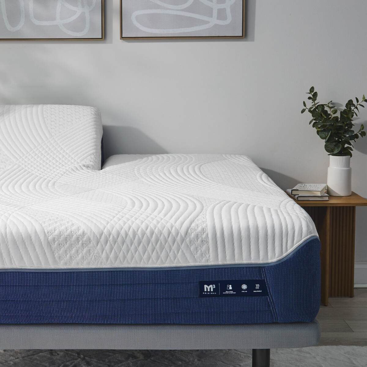 fb03d02ebdcf3d6155d285ee65113cbd M3 Performance® Mattress - Split Head Queen / 0.0 - Firm / 0.0 - Firm - Image 1