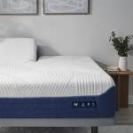 M3 Performance® Mattress - Split Head Queen / 0.0 - Firm / 0.0 - Firm