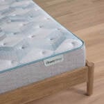 Dream Weaver 13.75" Plush Mattress -Full - Image 10