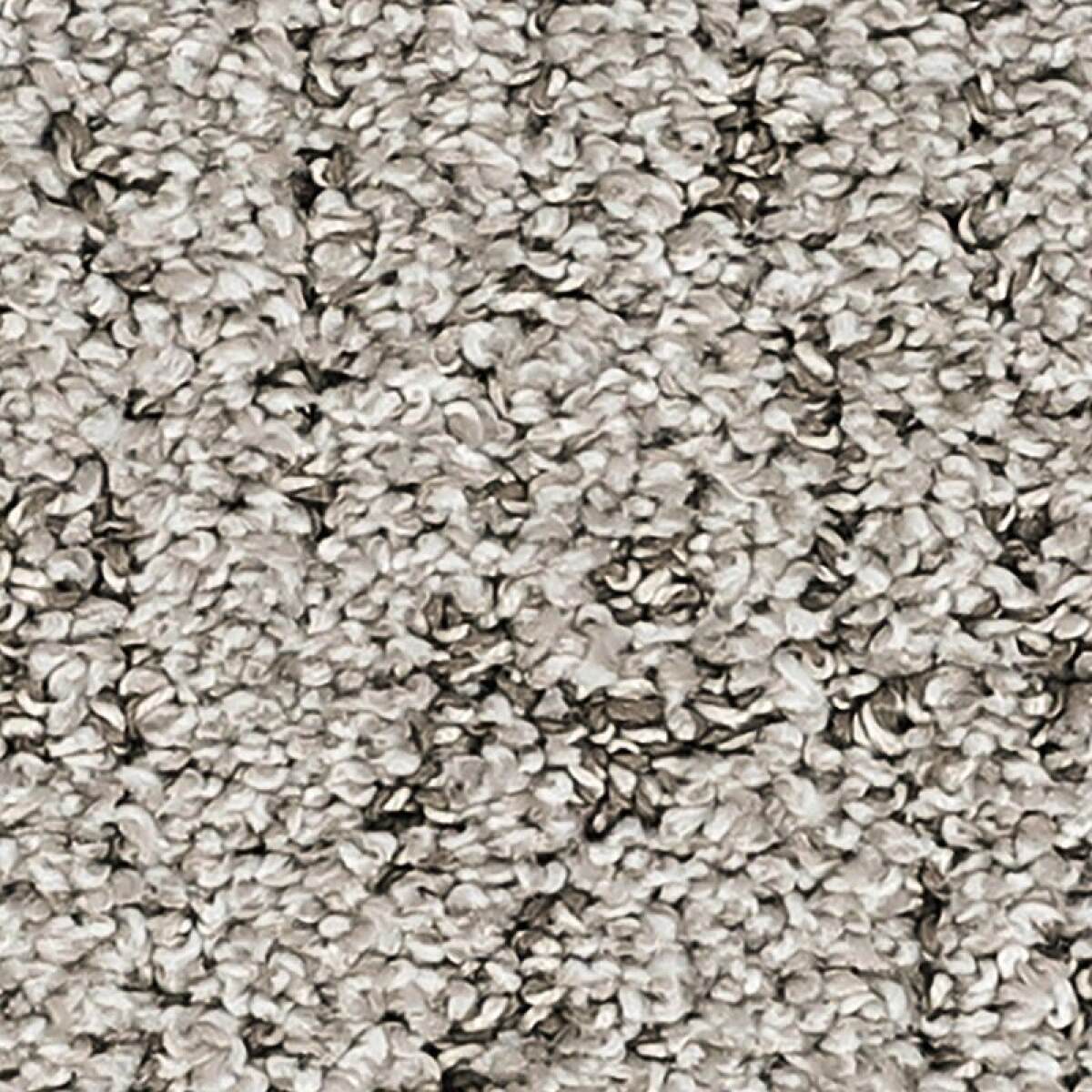 047803520c7453164167e6bf6ea0cd69 Bark And Roll - Image 1