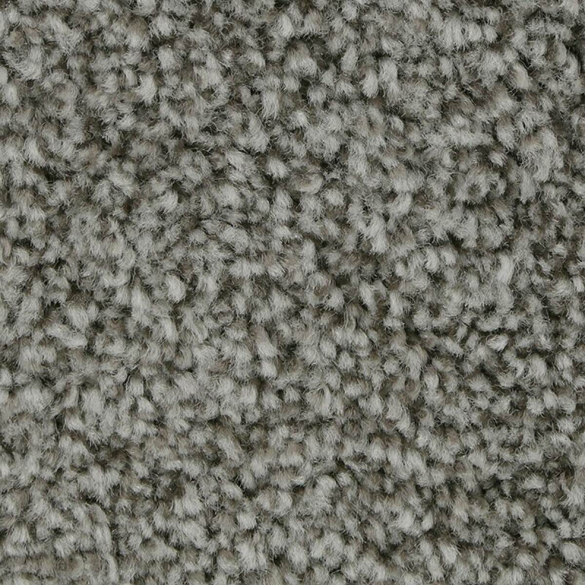 0bf544c5324eea059779373b4a902be9 Polished Shades I - Image 1