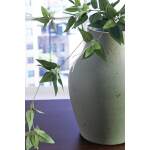 Baychester Vase - Image 4