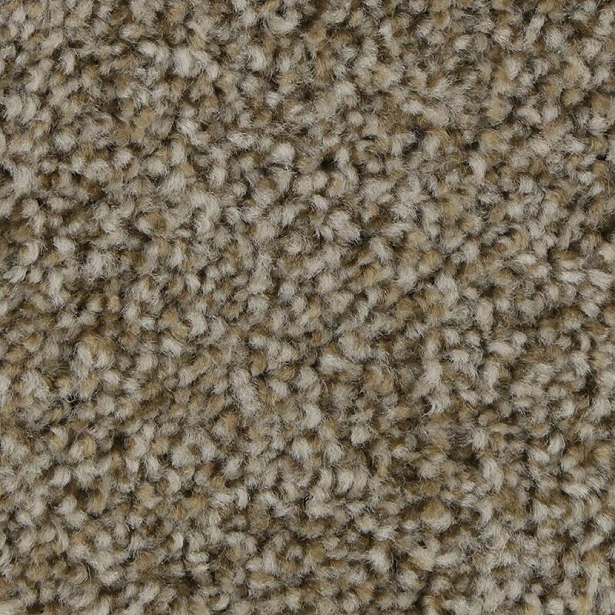 0e07110168d5e1a650863b35910bdb84 Polished Shades II - Image 1