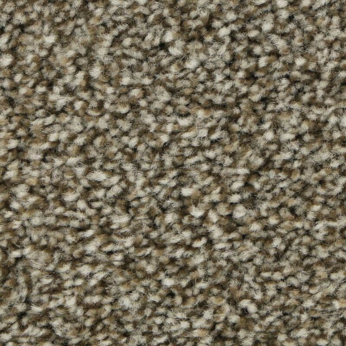 1d7d4332f4a8ae603da59a62bec800f1 Polished Shades I - Image 1