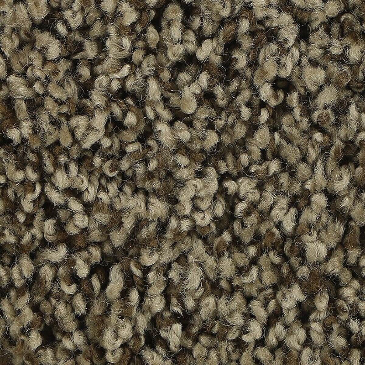 22ac355a2e1a7eac1008b01ab8f2e18a Soft Aspect - Image 1