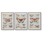 Jossletts Wall Art (Set of 3) - Image 2