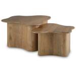 Abeford Accent Coffee Table (Set of 2) - Image 4